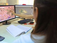 Kınık Belediyesi Drone İle İlaçlama Çalışması Başlattı