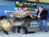 Türkiye'nin En Büyük Hayvancılık Fuarı Antalya'da Yapılacak