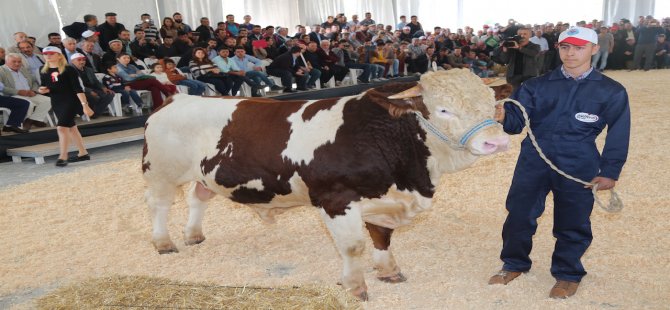 Tarım ve Hayvancılık Fuarı Açılıyor