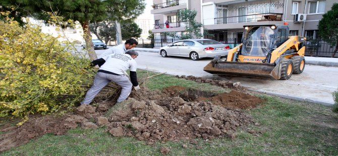 Karşıyaka’nın Parkları ‘Nar Ağacı’ İle Süslendi