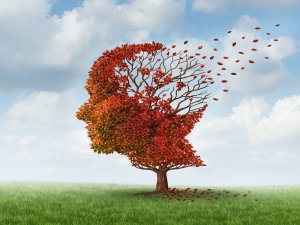 Alzheimer’ı Ertelemek İçin Zihninizi Aktif Tutun