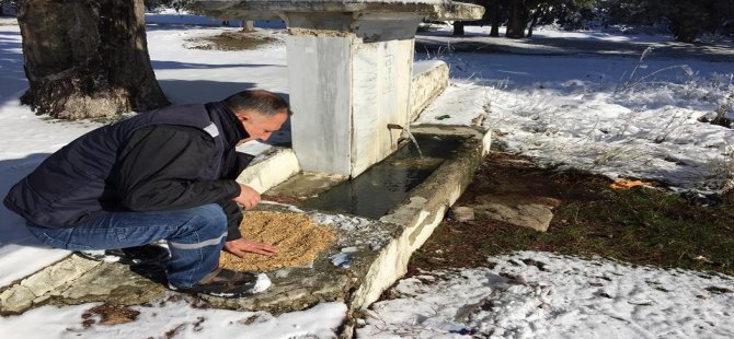 Yaban Hayatını Korumak İçin