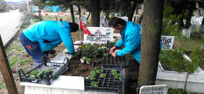 Şehit Mezarları Çiçek Açıyor