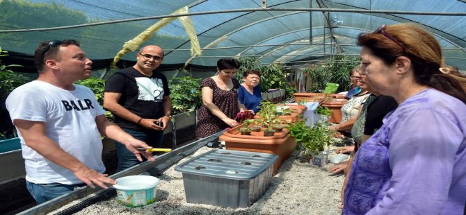 Aliağa Belediyesi’nden Kadınlar İçin Topraksız Tarım Projesi