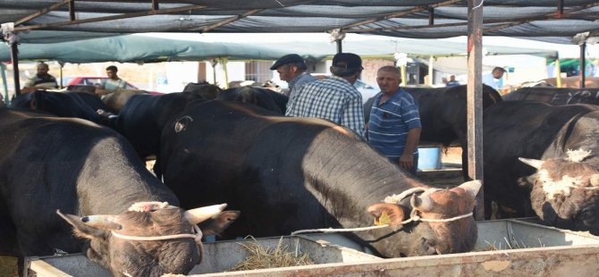 Aliağa’da Kurban Kesim Yerleri ve Fiyatları Belirlendi