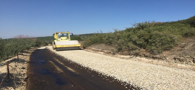 Türbenin Yolu Bakıma Alındı