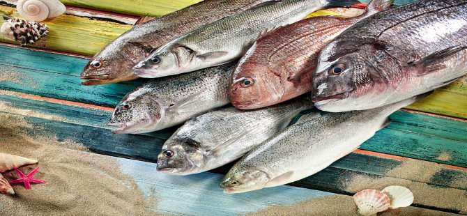 Amerika’ya Balık İhracatımız 9 Yılda 115 Kat Arttı