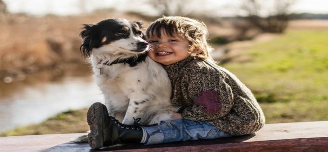 Hayvan Sevgisi, Çocuğun Ruh Sağlığı Hakkında İpucu Veriyor