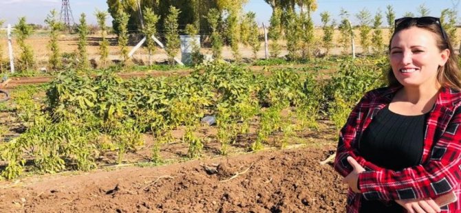 Yüzbinlerce ‘Hobi Bahçeleri’ Sahipleri; Cumhurbaşkanı Erdoğan’dan çözüm istiyor