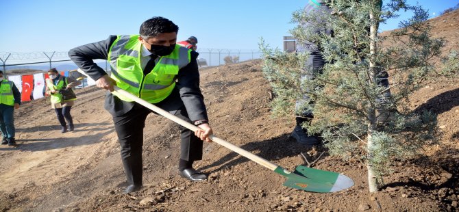 Aliağa’da Fidanlar Toprakla Buluştu