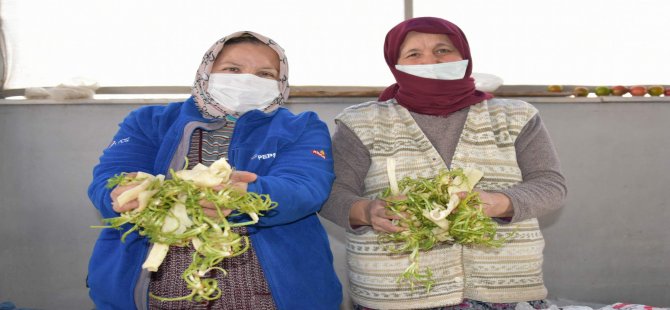 Kendileri Üretiyorlar, Topluyorlar, Kendileri Satıyorlar