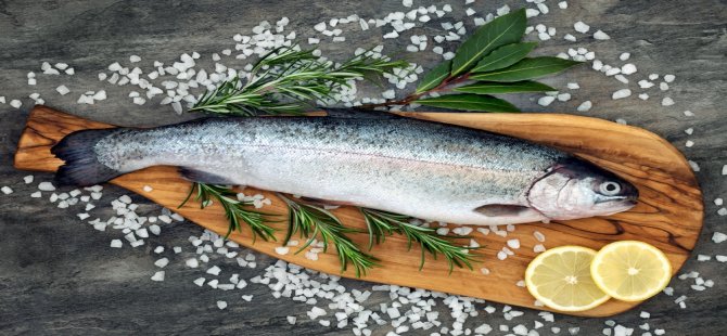 Karadeniz Somonuna Talep İkiye Katlandı