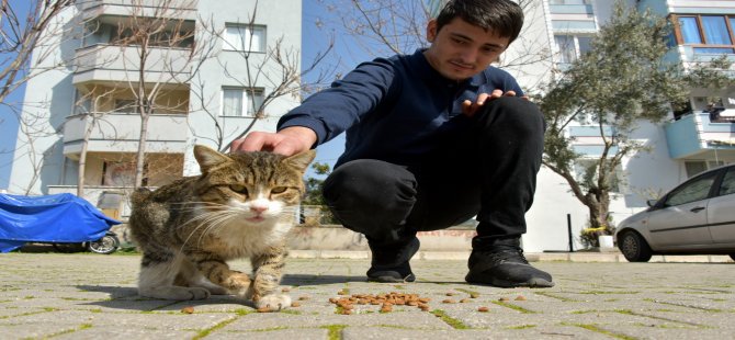 Aliağa Belediyesi Sevimli Dostlar İçin Görev Başında