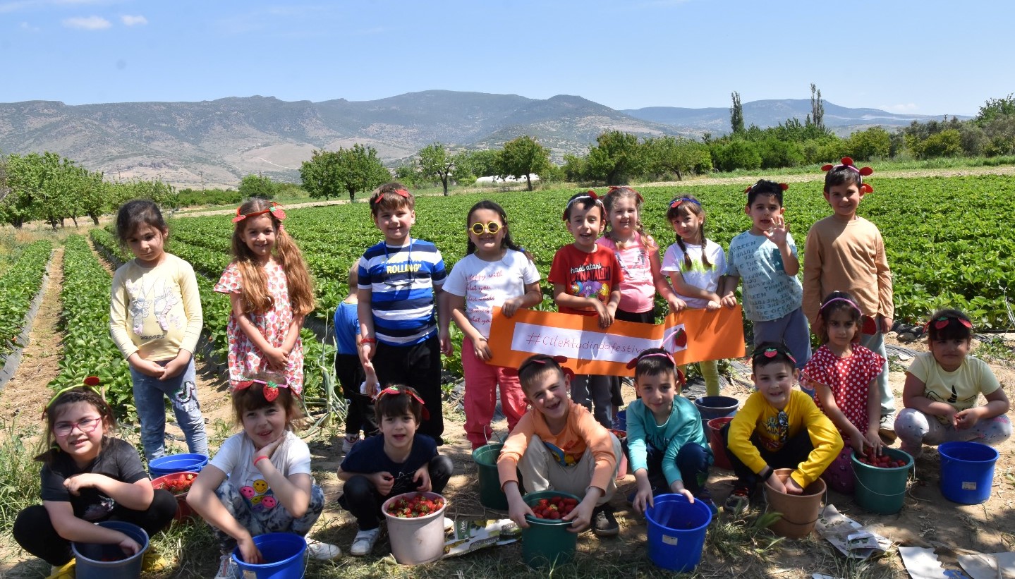 Çilek toplayıp, festivale davet ettiler