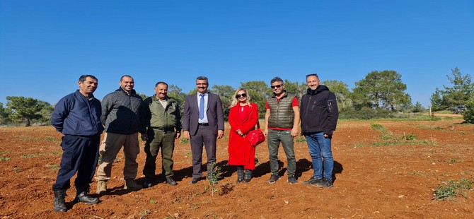 Çeşme Sakızının Kıbrıs’a Yolculuğu