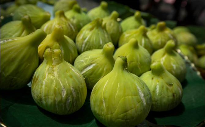 Beydağ incirinin katma değeri artıyor