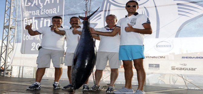 Son 10 Yılın En Büyük Balığı Yakalandı