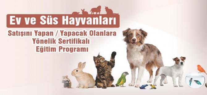 Ev ve Süs Hayvanları İçin Sertifikalı Eğitim