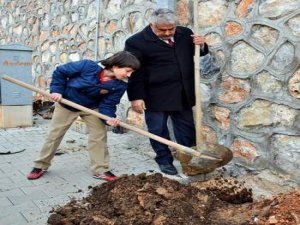 Fidan Diktiler, Geleceğe Hayat Verdiler