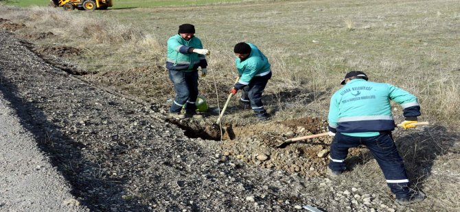 Aliağa Belediyesi 40 Bin Fidanı Toprakla Buluşturdu