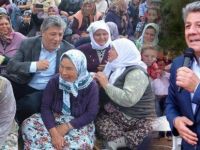 Balbay: Kozak Yaylası’nda Fıstık Çamlarının 10 Yıldır Yakalandığı Amansız Hastalık Ne?