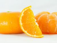 Satsuma Mandalina İhracatında Aslan Payı Rusya’nın