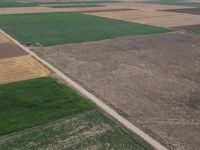 Kıraç Topraklara Buğday Bereketi İle Gelecek