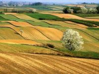 İşlenmeyen Tarım Arazileri Ekonomiye Kazandırılacak