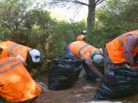 Aliağa Belediyesi’nden Ormanlık Alanlarda Hummalı Çalışma