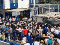 İZDENİZ’in yaz seferleri Kurban Bayramı’nın ikinci günü başlıyor