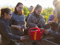 Tohumdan toprağa, topraktan sofraya