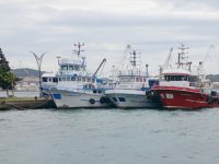 Aliağa’da Poyraz Fırtınası Balıkçılığı Vurdu