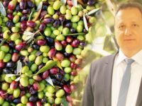 Zeytinyağını Erzincan’da Tanıtacak