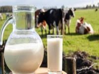 TÜİK, Süt ve Süt Ürünleri Üretimi Verilerini Açıkladı