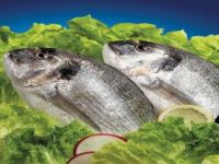 Balıkesir Su Ürünleri Fiyatları 06.12.2016