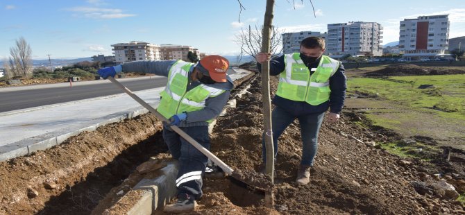 aliaga_guzelhisar_caddesi_agac_dikimi_16012021_2.jpg