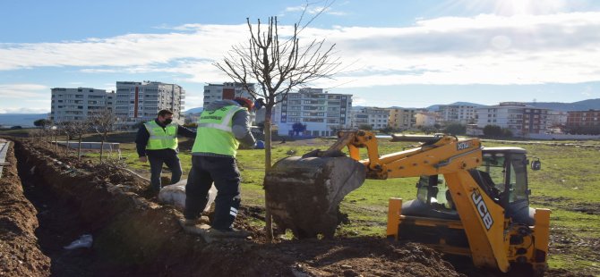 aliaga_guzelhisar_caddesi_agac_dikimi_16012021_4.jpg