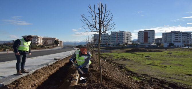 aliaga_guzelhisar_caddesi_agac_dikimi_16012021_6.jpg