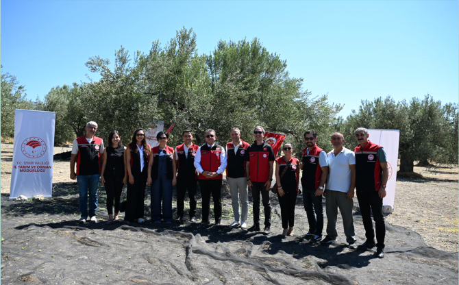 zeytin-hasadi-04.jpg